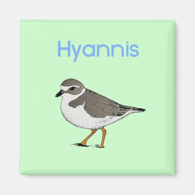 hyannis-plover magnet (Front)