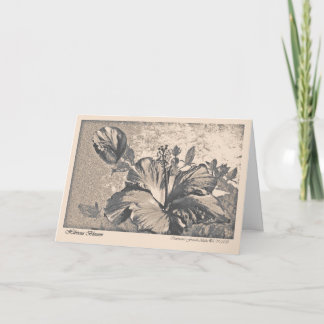 Hybiscus blossom greeting card