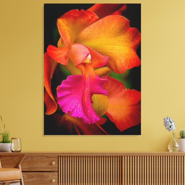 Hybrid Cattleya Orchid Canvas Print (Insitu(LivingRoom))