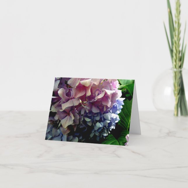 Hybrid Hydrangea Notecard (Front)