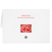 Hybrid Lilies Coordinating Items (Back Horizontal)