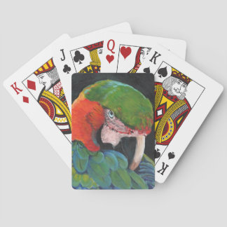 Hybrid Macaw Poker Cards