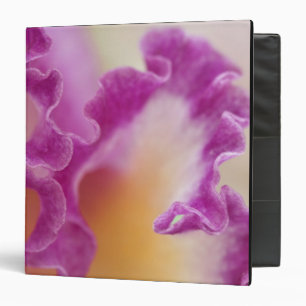Hybrid orchid close-up, Delray Beach, Florida Binder