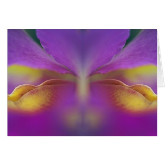 Hybrid orchid, Florida 2 Cards (Front Horizontal)