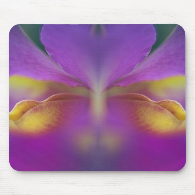 Hybrid orchid, Florida 2 Mouse Pad (Front)
