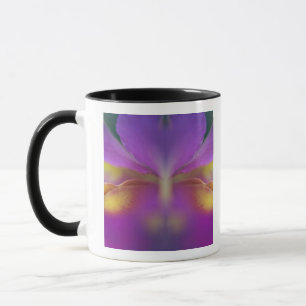Hybrid orchid, Florida 2 Mug