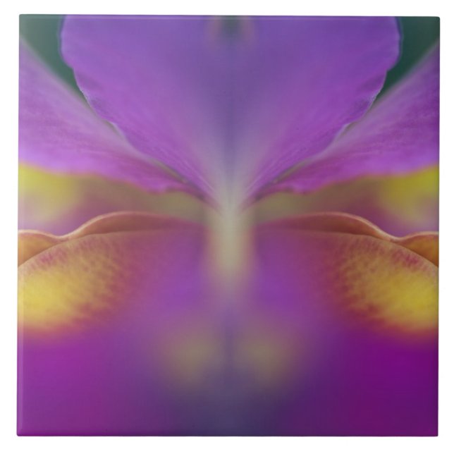 Hybrid orchid, Florida 2 Tile (Front)