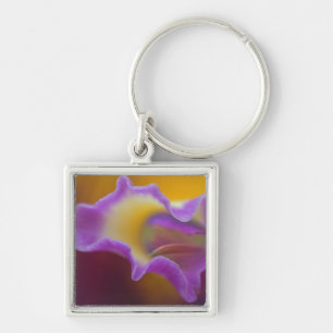 Hybrid orchid, Florida Keychain