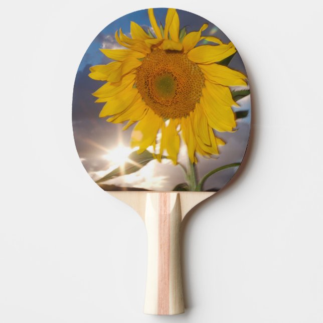 Hybrid sunflower blowing in the wind at dusk ping pong paddle (Front)