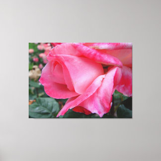 Hybrid Tea Rose Barbara Bush On Canvas Print