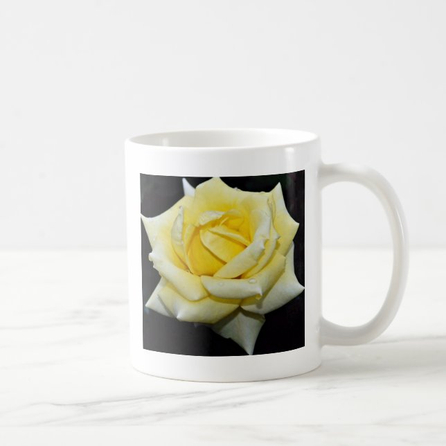 Hybrid Tea Rose 'Helmut Schmidt' White flowers Coffee Mug (Right)