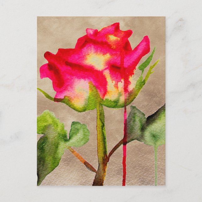 Hybrid Tea Rose watercolour modern flower art Postcard (Front)