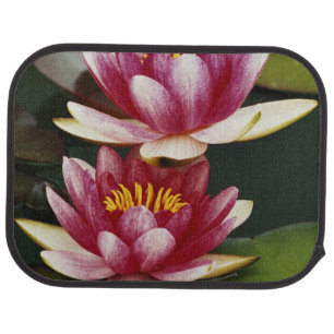 Hybrid water lilies car mat