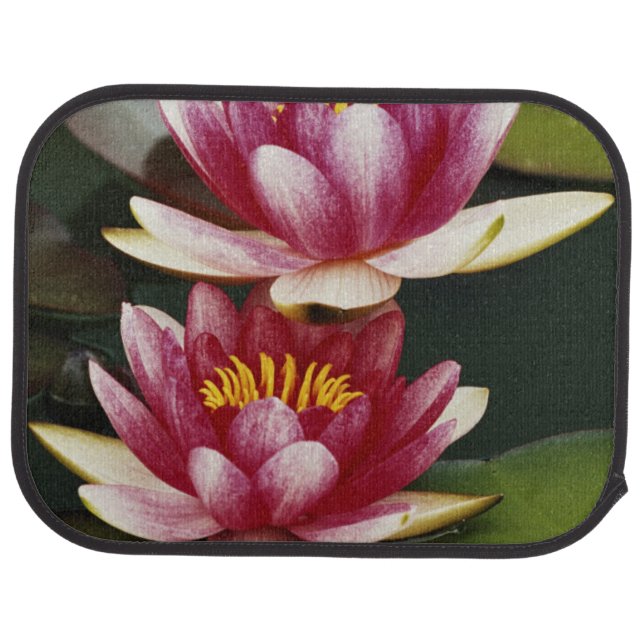 Hybrid water lilies car mat (Rear)
