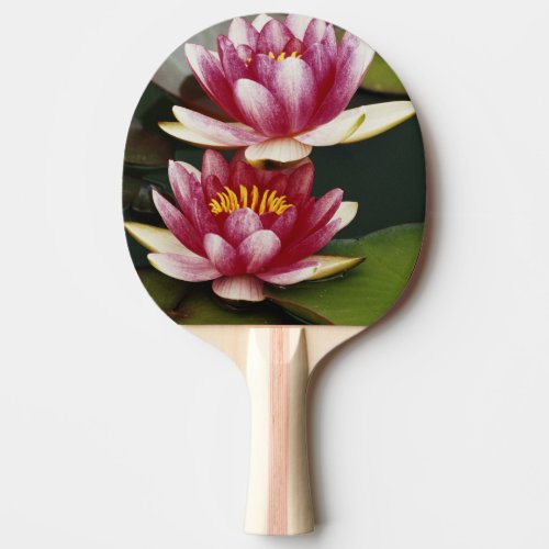 Hybrid water lilies ping pong paddle