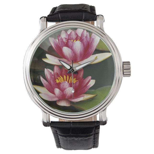 Hybrid water lilies watch (Front)