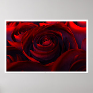 Hybrid (wide) poster