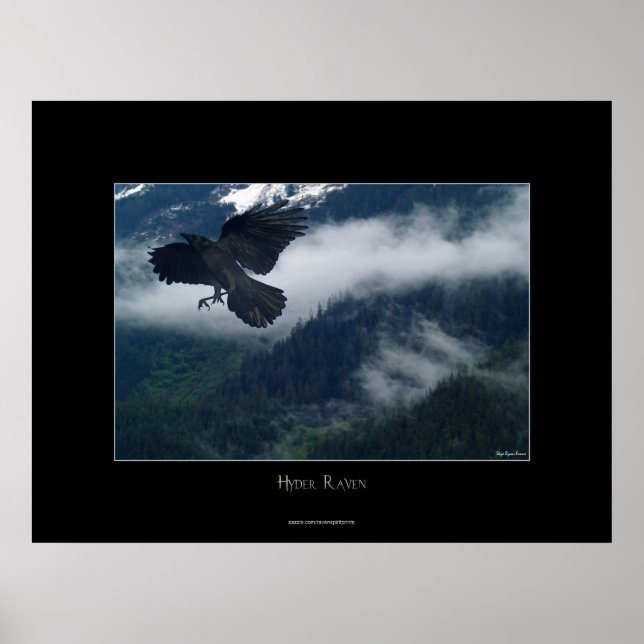 Hyder Raven Wildlife Art Nature Poster (Front)