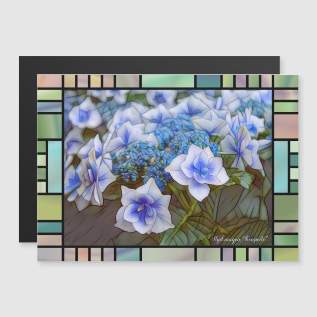 Hydrangea (Front/Back)