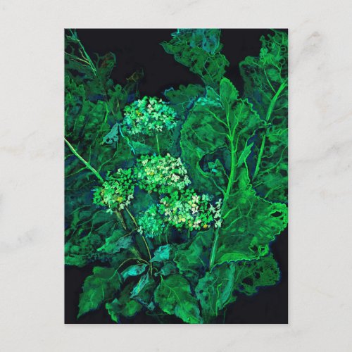Hydrangea and Horseradish Floral Art Black  Green Holiday Postcard
