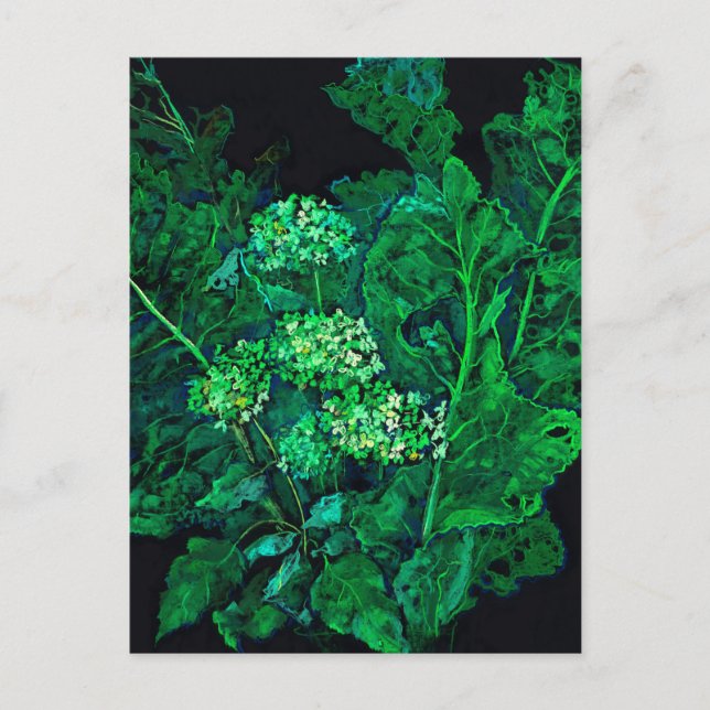 Hydrangea and Horseradish Floral Art Black & Green Holiday Postcard (Front)