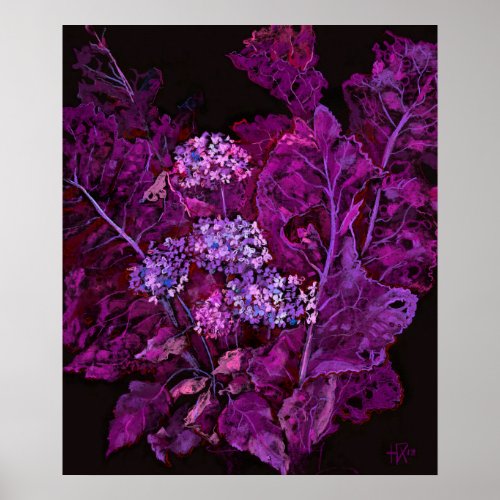 Hydrangea and Horseradish Floral Art Black Purple  Poster