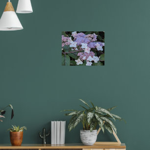 Hydrangea Aspera Flowers Floral Poster