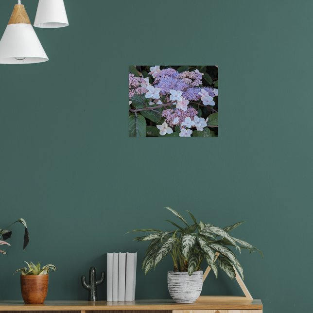 Hydrangea Aspera Flowers Floral Poster (Living Room 1)