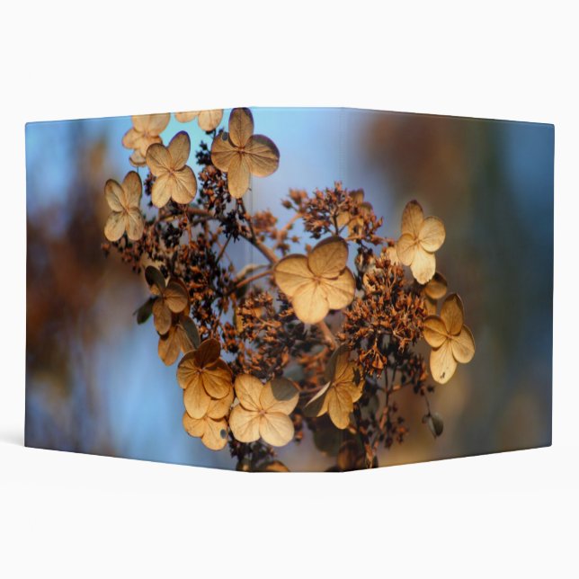hydrangea autumn 3 ring binder (Background)