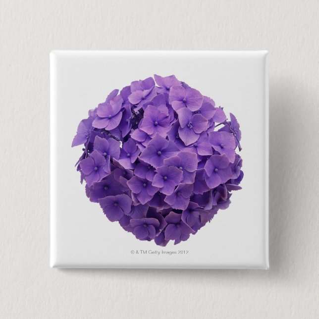 Hydrangea Ball Close-up Pinback Button (Front)