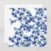 hydrangea bgc transparent (Front/Back)