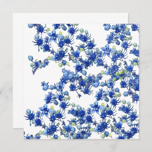 hydrangea bgc transparent (Front/Back)