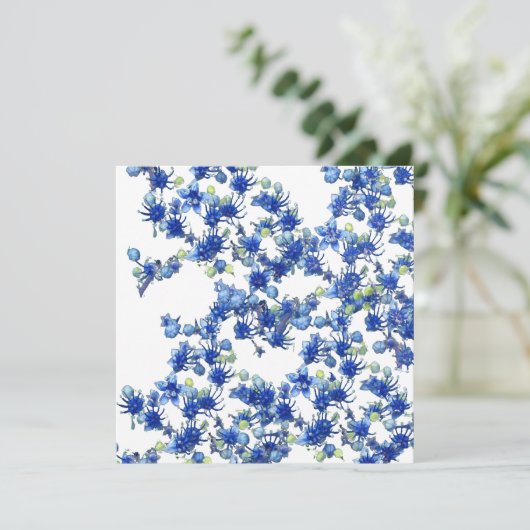 hydrangea bgc transparent (Standing Front)