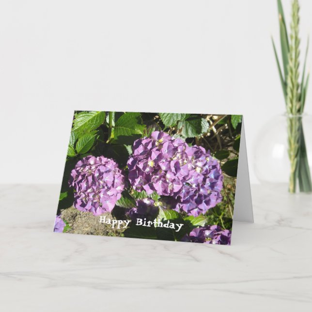 Hydrangea Birthday Greeting Card (Front)