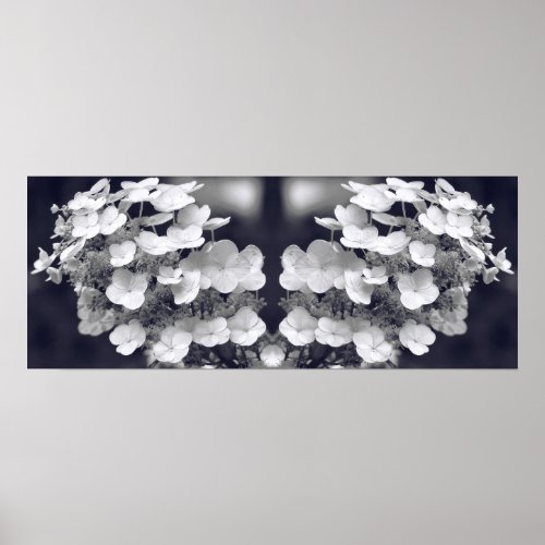 Hydrangea Black And White Mirror Abstract Poster