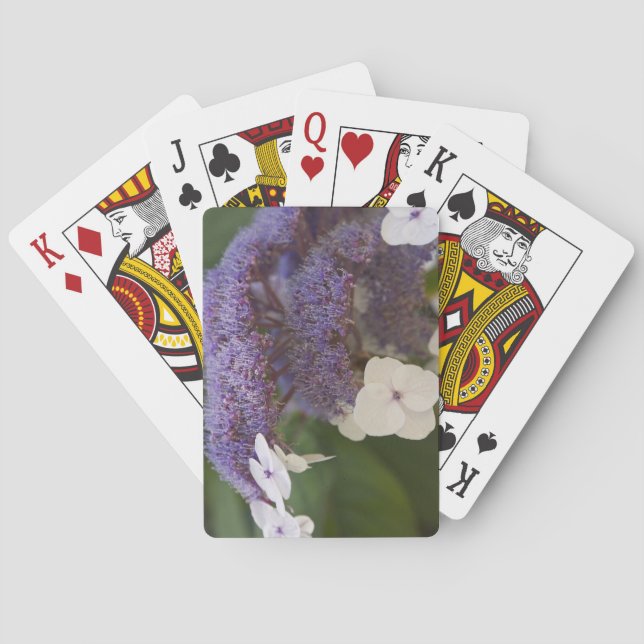 Hydrangea bloom, Dr. Sun Yat-Sen Chinese garden Poker Cards (Back)