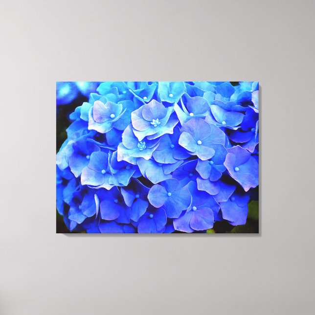 Hydrangea Blues  Canvas Print (Front)
