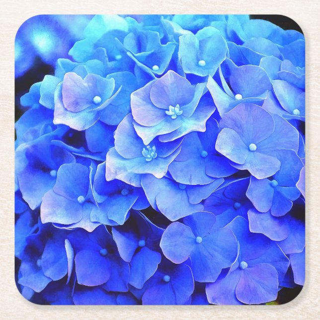 Hydrangea Blues Paper Coasters (Front)