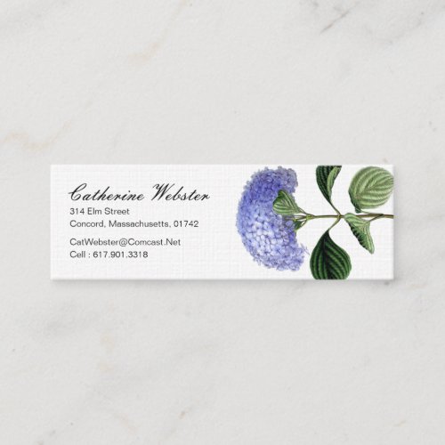 Hydrangea Botanical Business Card