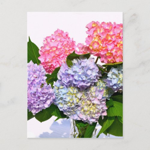 Hydrangea Bouquet Postcard