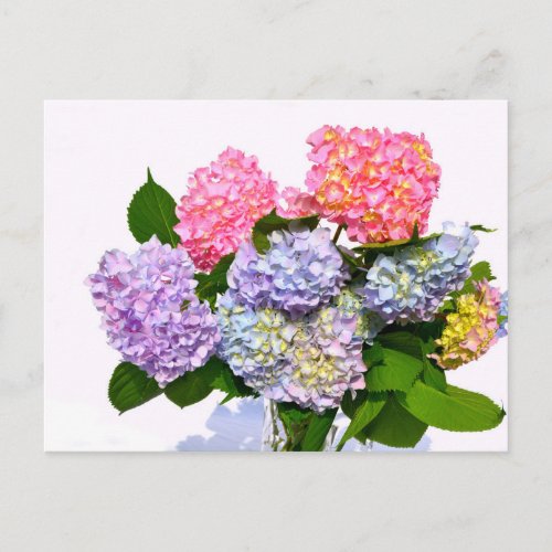 Hydrangea Bouquet Postcard
