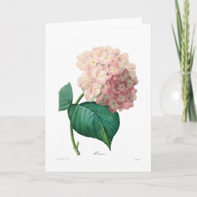 Hydrangea Card (Front)