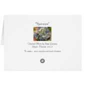 Hydrangea Cards (Back Horizontal)