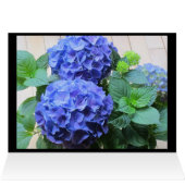 Hydrangea Cards (Inside Horizontal (Top))