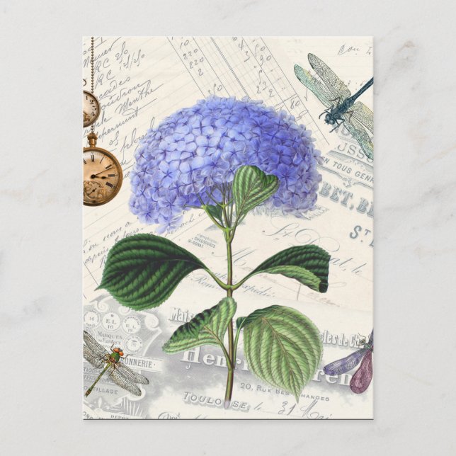 Hydrangea Collage Postcard (Front)