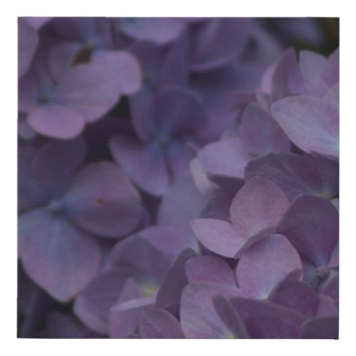 Hydrangea Faux Canvas Print