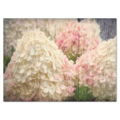 Hydrangea Floral Vintage Painted White Pink Rustic Tissue Paper