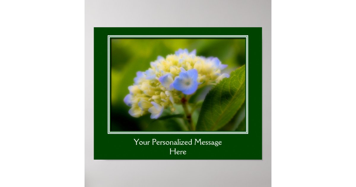 Hydrangea Flower Create Your Own Personalized Poster | Zazzle