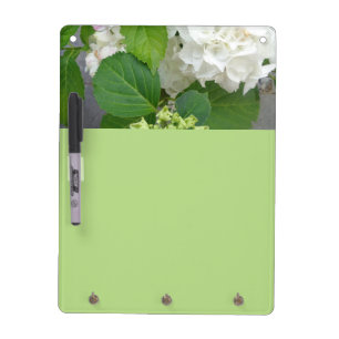 Hydrangea Flower Green White Nature Garden Plants Dry-Erase Board