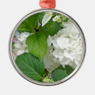 Hydrangea Flower Green White Nature Garden Plants Metal Ornament